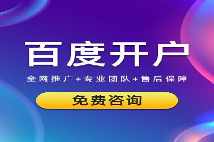 专业sem竞价托管服务，案例解析提升广告效果